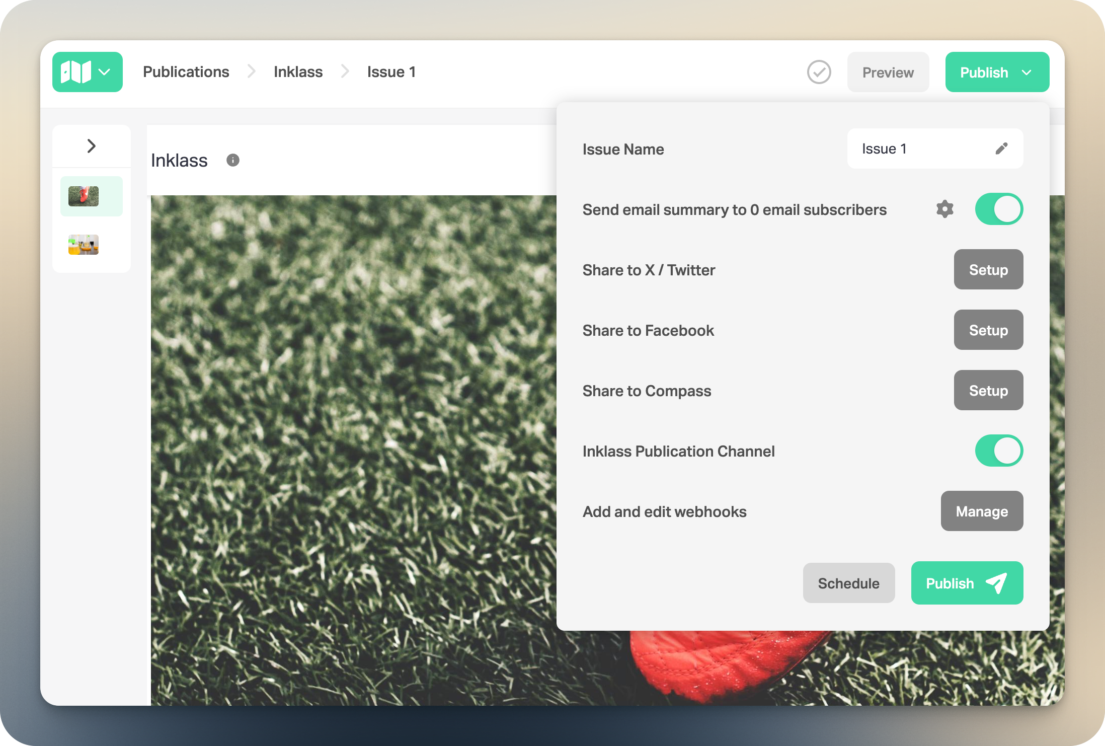 View iNewsletter integration configuration screenshot